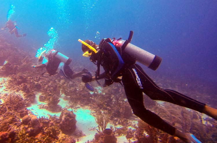 divers