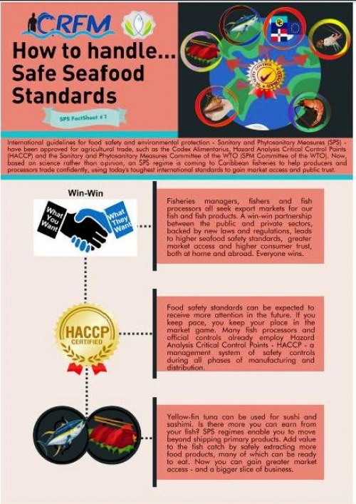 How to Handle Safe Seafood Standards