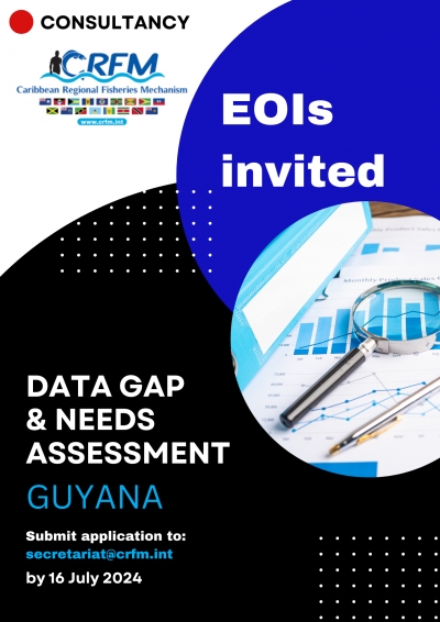 Request for Expressions of Interest (EOI) for Consultancy to Conduct Data Gap and Needs Assessments to Inform MSP in Guyana