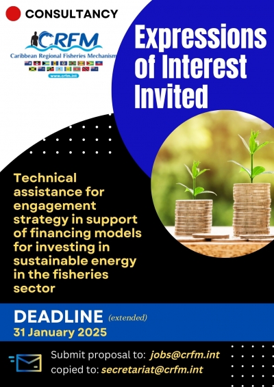 Technical assistance for engagement strategy in support of financing models for investing in sustainable energy  in the fisheries sector