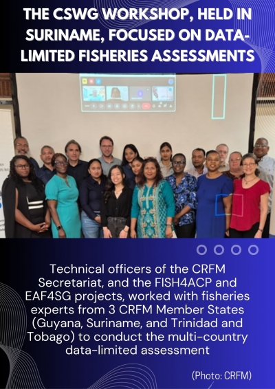 CRFM working group conducts multi-country review and analysis of Caribbean groundfish resources