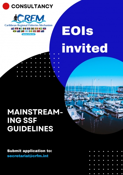 Consultancy - SSF Guidelines