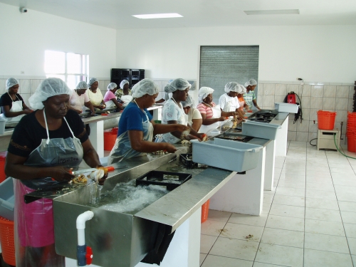 EU works with the Caribbean Regional Fisheries Mechanism to help to make Caribbean fishery products safer