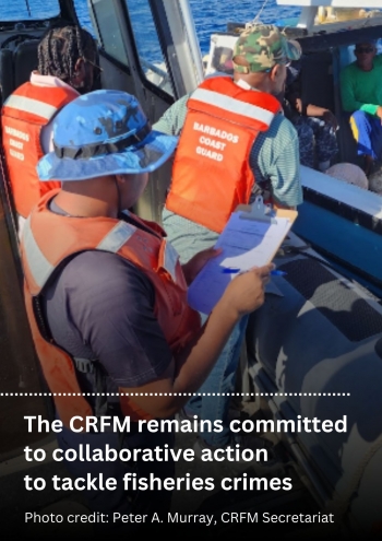 The Caribbean stands tall in the global fight for Blue Justice