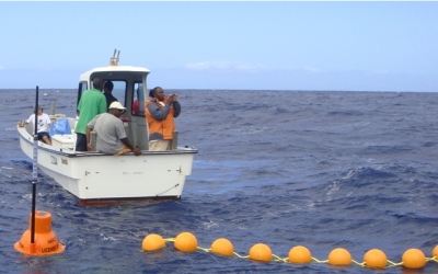 ​​CARICOM and Japan celebrate 20 years of cooperation in fisheries