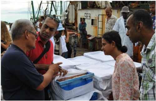 Workshop coordinator, Henk Bhagwandin (extreme right) from Suriname Fisheries Department, together with Susan Singh-Renton (second from right) and Trinidad and Tobago’s national consultant for the project, David Ramjohn (second from left) listen carefully as an industry representative, W. Tjitrotaroeno, speaks about the quality control procedures for processing and storing pink-spotted shrimp by his company, Surinam American Industries Limited (SAIL). A trawler (seen in background) had just offloaded its catch of frozen pink-spotted shrimp (Farfantepenaeus brasiliensis), bound for the processing plant just a few metres away. 