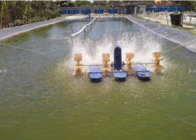 Digital Library of Aquaculture Resources now available