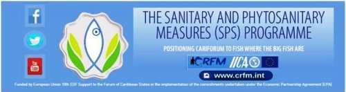 CRFM Feature: Caribbean Fishing Industry Moves to Close Food Safety Gaps, Expands Markets