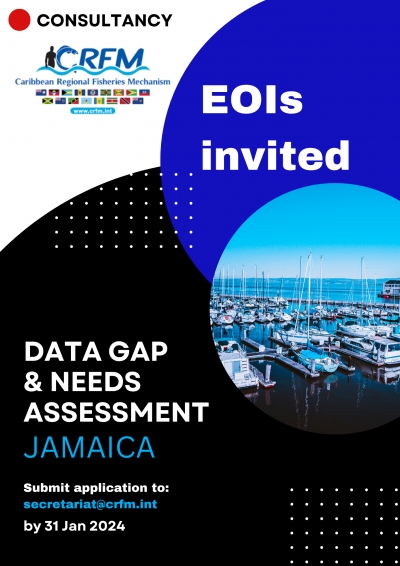 Consultancy - Data Gap &amp; Needs (JM)