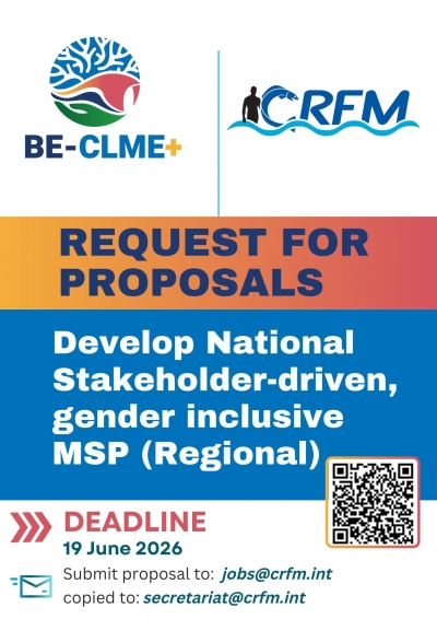 Consultancy To Develop National Stakeholder-Driven, Gender Inclusive Msp Following Project Msp Protocol And In Support Of Nationally Relevant Authorities (Regional)
