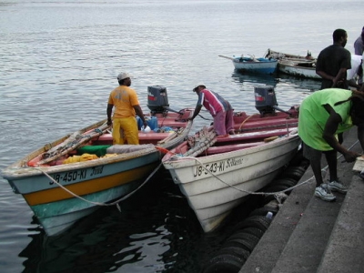 The Caribbean Community Common Fisheries Policy: Breaking the cycle of poverty in fishing communities