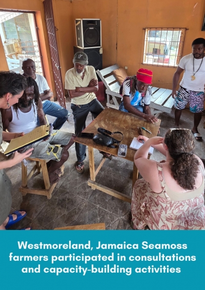 Canada-funded STAR-Fish ramps up clean energy interventions for Caribbean fisheries