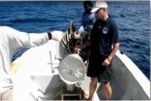 Caribbean Fisheries...CARICOM acknowledges successes from a 20-Year CARICOM and Japan relationship