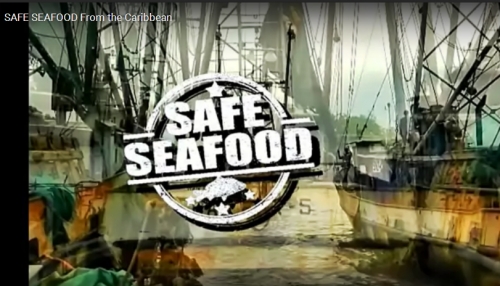 VIDEO: Safe Seafood from the Caribbean