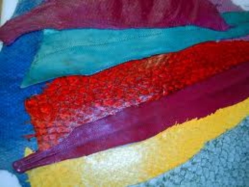 Leading Fisheries Issues discussed