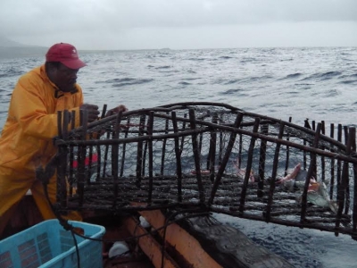 Taking real lessons learned from Caribbean fisheries to advance best practices
