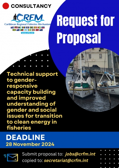 Request for Proposal - Technical support to gender-responsive capacity building and improved understanding of gender and social issues for transition to clean energy in fisheries