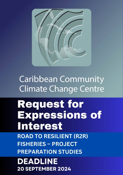 Request for Expressions of Interest – Road to Resilient (R2R) Fisheries – Project Preparation Studies